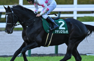 アメリカジョッキークラブカップ2026　ビビットAIが選んだ穴馬：⑤マテンロウレオ