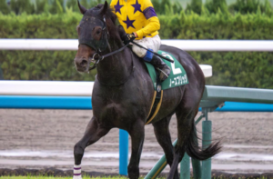 アメリカジョッキークラブカップ2026　ビビットAIが選んだ穴馬：⑩ノースブリッジ