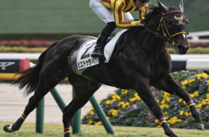 フェアリーステークス2026　ビビットAIが選んだ有力馬：ピエドゥラパン