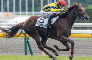 フェアリーステークス2026　ビビットAIが選んだ有力馬：ヴァリスマリネリス