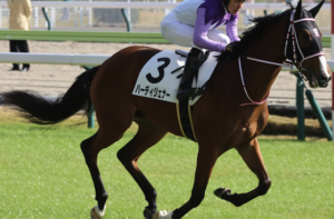 フェアリーステークス2026　ビビットAIが選んだ穴馬：ハーディジェナー