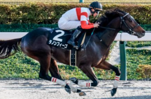 根岸ステークス2026　ビビットAIが選んだ有力馬：ダノンフィーゴ（◎）