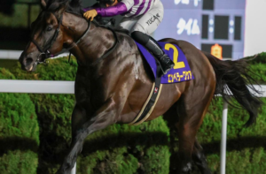 根岸ステークス2026　ビビットAIが選んだ有力馬：エンペラーワケア（◯）