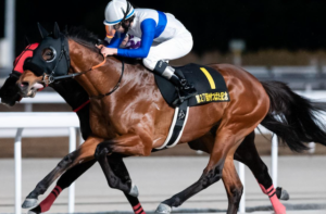 根岸ステークス2026　ビビットAIが選んだ穴馬：ロードフォンス（▲）