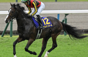 日経新春杯2026　有力馬：ゲルチュタール