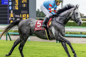 日経新春杯2026　有力馬：ヤマニンブークリエ