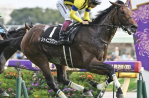 日経新春杯2026　穴馬：シャイニングソード