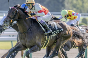 日経新春杯2026　穴馬：サブマリーナ