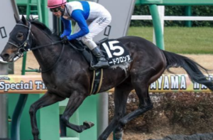 プロキオンステークス2026　ビビットAIが選んだ有力馬：⑬ロードクロンヌ