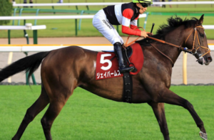 プロキオンステークス2026　ビビットAIが選んだ有力馬：⑩ジェイパームス