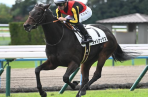 シンザン記念2026　ビビットAIが選んだ穴馬：フォルナックス