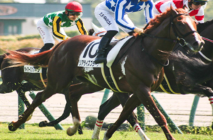 シンザン記念2026　ビビットAIが選んだ穴馬：リアライズブラーヴ