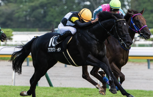 アスクセクシーモア