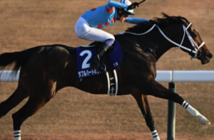 ビビットAIが選んだフェブラリーステークス2026の有力馬：⑨ダブルハートボンド