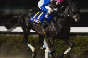 ビビットAIが選んだフェブラリーステークス2026の穴馬：⑩ロードクロンヌ
