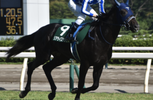 共同通信杯2026　ビビットAIが選んだ有力馬：⑤リアライズシリウス（◎）