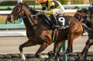 共同通信杯2026　ビビットAIが選んだ穴馬：①サノノグレーター（▲）