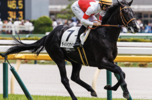 共同通信杯2026　ビビットAIが選んだ穴馬：④ディバインウインド（☆）