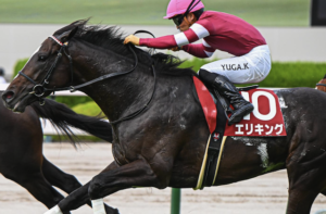 京都記念2026　ビビットAIが選んだ有力馬：⑥エリキング（◎）