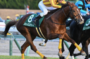 京都記念2026　ビビットAIが選んだ穴馬：⑧シェイクユアハート（△）