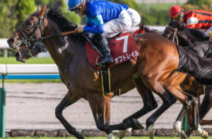 東京新聞杯2026　ビビットAIが選んだ有力馬：オフトレイル（◎）