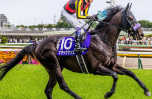 東京新聞杯2026　ビビットAIが選んだ有力馬：マジックサンズ（◯）