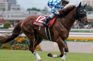 東京新聞杯2026　ビビットAIが選んだ穴馬：シャンパンカラー（☆）