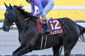 高松宮記念2026でビビットAIが◎を付けた⑬ナムラクレアの画像