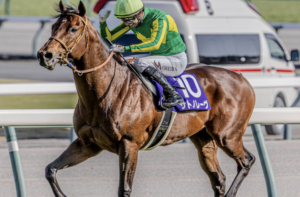 高松宮記念2026でビビットAIが◯を付けた⑨サトノレーヴの画像