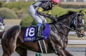 高松宮記念2026でビビットAIが▲を付けた⑰ペアボルックスの画像