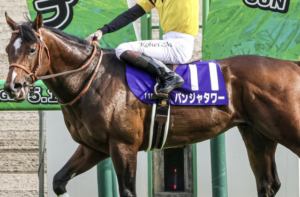 高松宮記念2026でビビットAIが△を付けた①パンジャタワーの画像