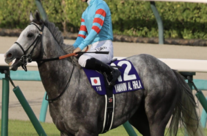 高松宮記念2026でビビットAIが☆を付けた⑨ヤマニンアルリフラの画像