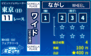 ワイド流し（軸1頭）の馬券画像