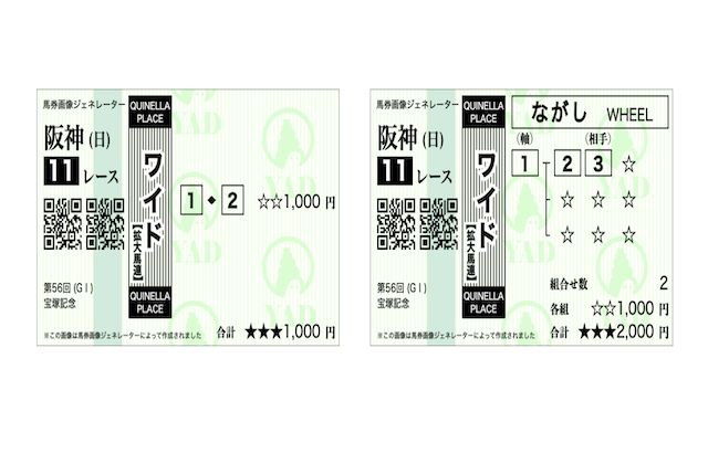 ワイド1点・2点の馬券画像