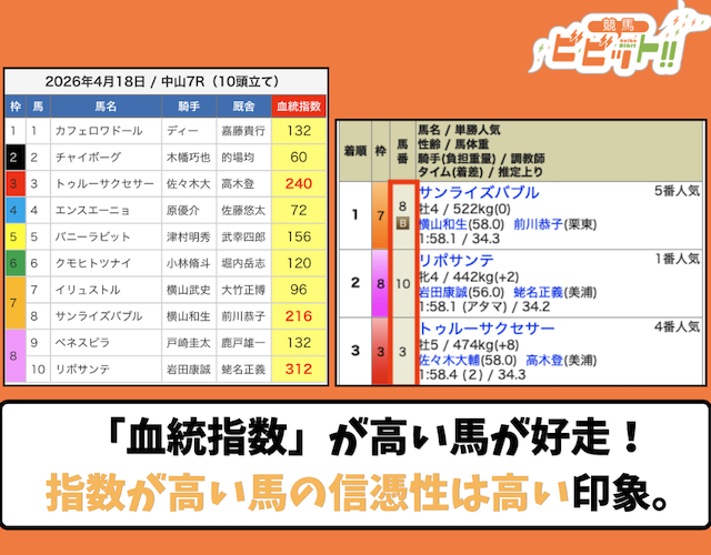 競馬ビビットのえーあいNEOの無料予想で勝負した感想