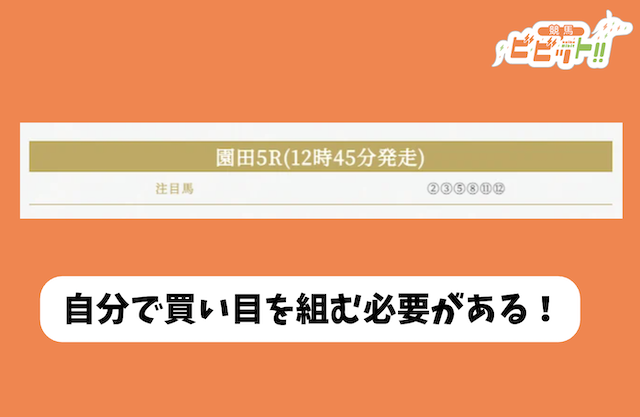ハーレム競馬の無料予想 注目馬のみの公開