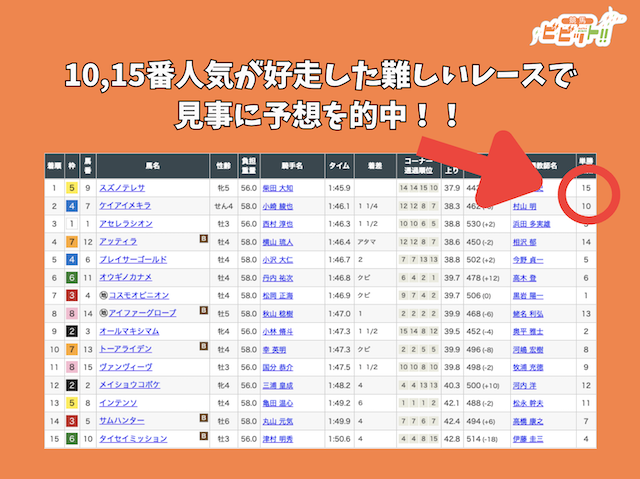 有料予想で難しいレースを読み切り当てた解説画像