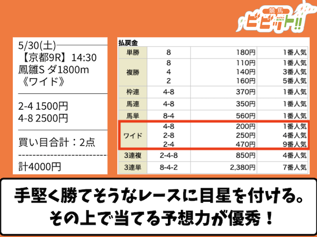 シンケイバの予想で勝負した感想