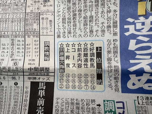 上位拮抗馬