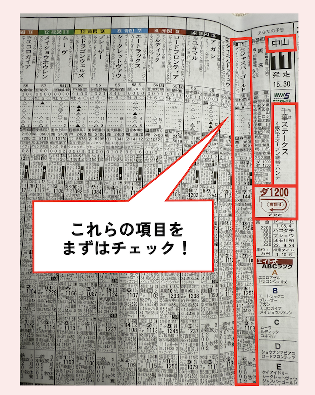 競馬エイトは当たる？特徴・記者の実力や使い方を公開