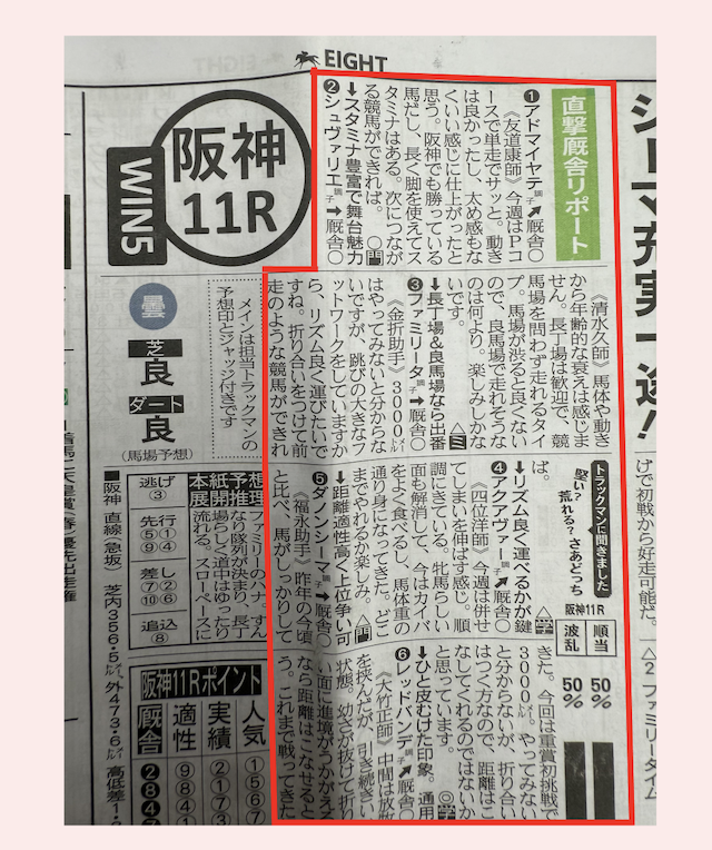 競馬エイトの直撃厩舎リポートの画像