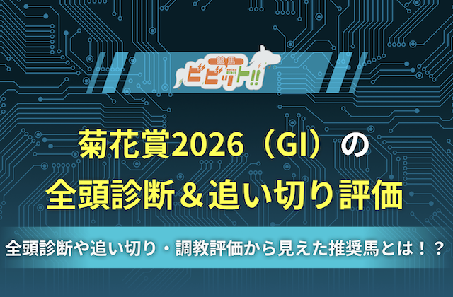 菊花賞2026のAI全頭診断・追い切り評価のアイキャッチ