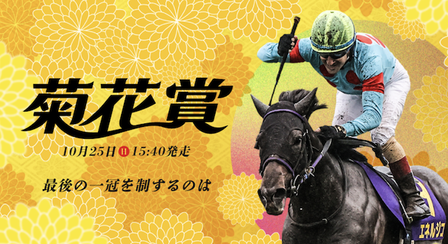 菊花賞2026の概要