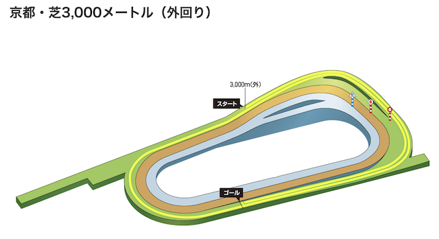 菊花賞2026のAI予想のコース特徴